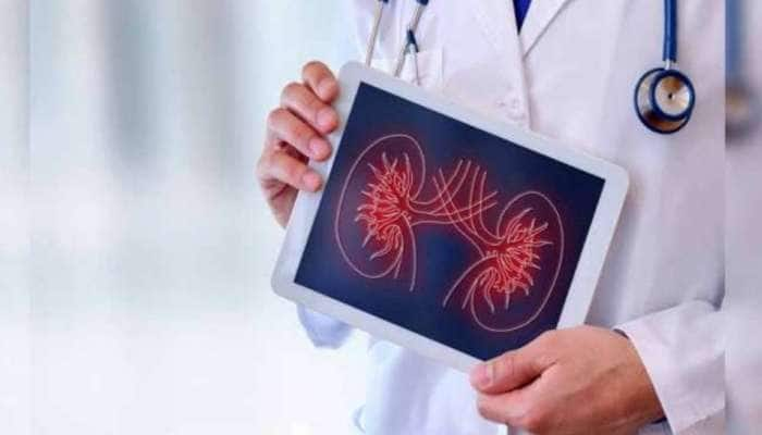 World Kidney Day: சிறுநீரக கற்களால் ஏற்படும் பாதிப்பு என்ன; எப்படி சமாளிப்பது!