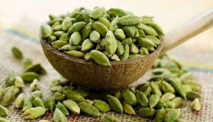 Health News: ஏலக்காயின் நன்மை ஏராளம், தெரிந்துகொண்டு பயன் பெறுவோம்!! 