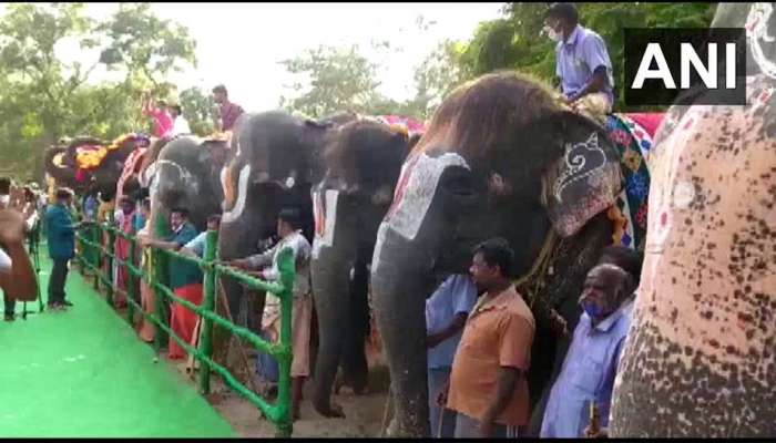 கோவை மாவட்டம் தேக்கம்பட்டியில் யானைகள் புத்துணர்வு முகாம் நிறைவு