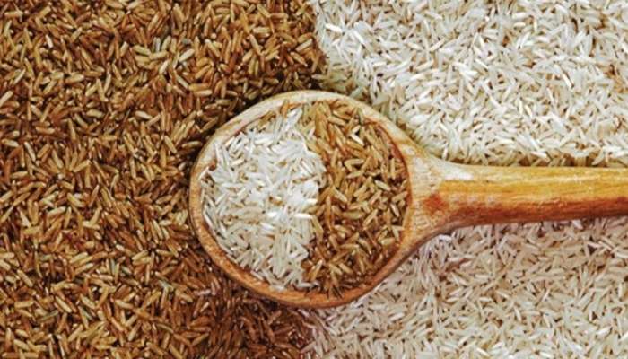 Brown Rice vs White Rice: உங்கள் உடல்நலனுக்கு எந்த அரிசி சிறந்தது? இங்கே காணலாம்