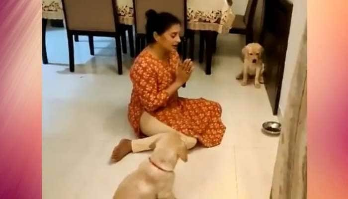 Watch: மனதை கொள்ளைக்கொள்ளும் செல்லப்பிராணிகளின் cute video viral 