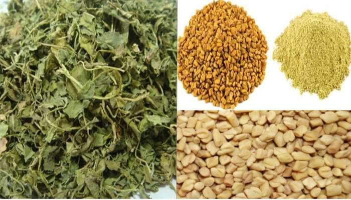 Fenugreek: பலவித நோய்களுக்கு அருமருந்தாகும் வெந்தயம்