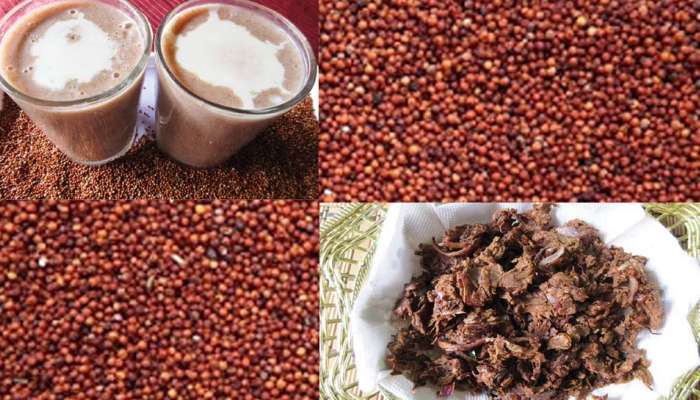 Benefits of Ragi: பாலை விட 3 மடங்கு கால்சியம் எதில் இருக்கிறது தெரியுமா?