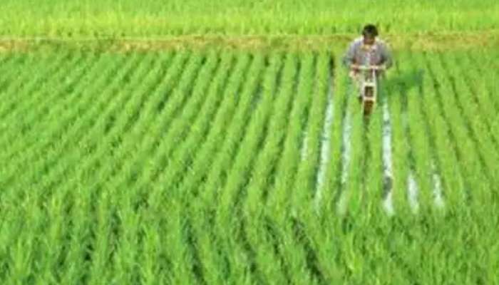 PM Kisan: ரூ.2000 பணம் உங்களுக்கு வரலயா? உடனே இதைப் பண்ணுங்க!