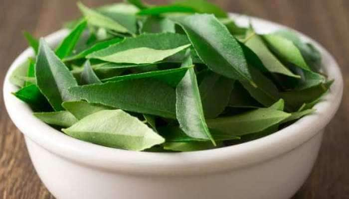 Curry Leaves Benefits: கறிவேப்பிலையின் மருத்துவ பயன்கள்