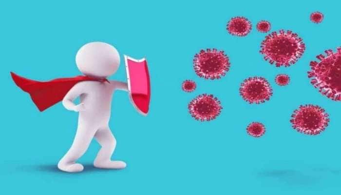 What is an antibody; How does it help fight corona infection?