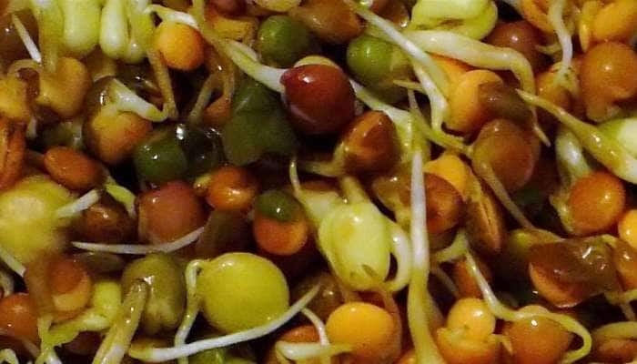 Sprouted Grains: ஊட்டமும் தரும், ஊக்கமும் தரும் முளை கட்டிய தானியங்கள் title=