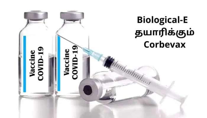 Corbevax: Biological-E தயாரிக்கும் மிக மலிவான கொரோனா தடுப்பூசி விரைவில்