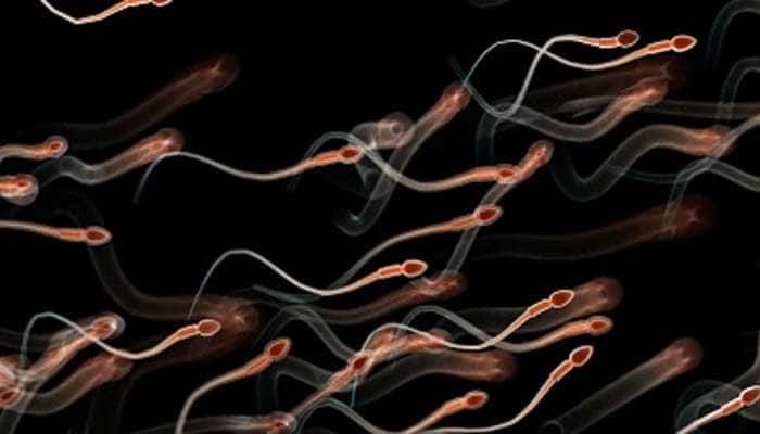 Good foods to Sperm count: விந்தணுக்களை அதிகரிக்கும் உணவுகள்