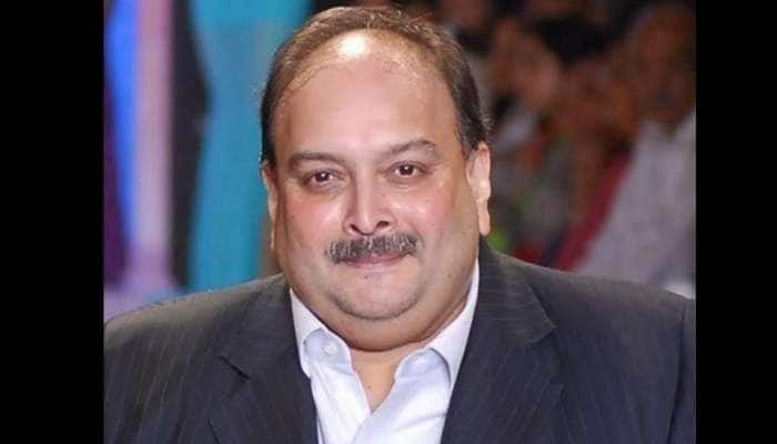 Mehul Choksi: டொமினிகா நீதிமன்றத்தில் மெகுல் சோக்ஸிக்கு ஜாமீன் மறுப்பு