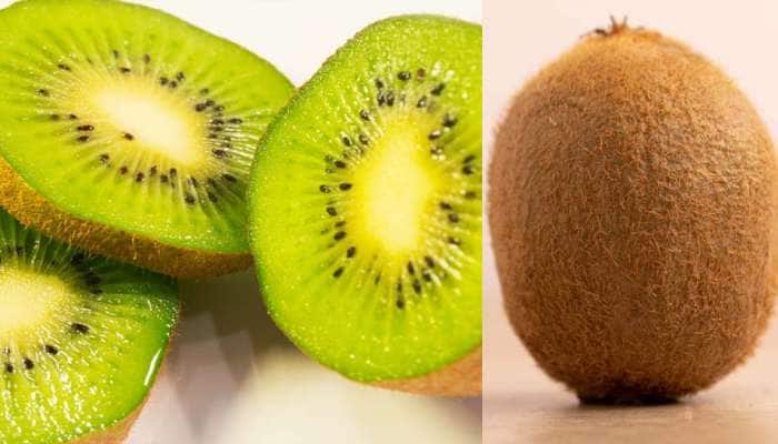 Kiwi Fruit for Covid: கோவிட் ஏற்படாமல் தடுக்கும் கிவி பழத்தின் சூப்பர் நன்மைகள்! title=