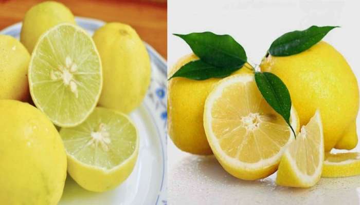 Benefits of lemon: எலுமிச்சையில் உள்ள வியக்க வைக்கும் நன்மைகள் title=