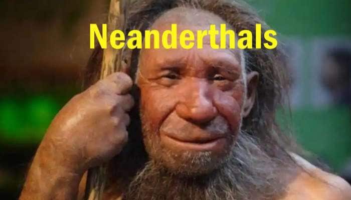 Neanderthals: மனிதர்களுடன் உடலுறவு கொண்டதால் நியண்டர்டால்கள் அருகியிருக்கலாம்: ஆய்வு title=