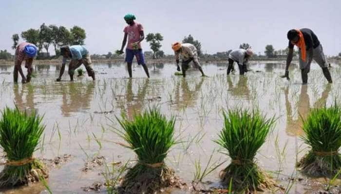 ஊரக இளைஞர் வேளாண் திறன் மேம்பாட்டு இயக்கம் - வேளாண் பட்ஜெட்டில் புதிய திட்டம் 