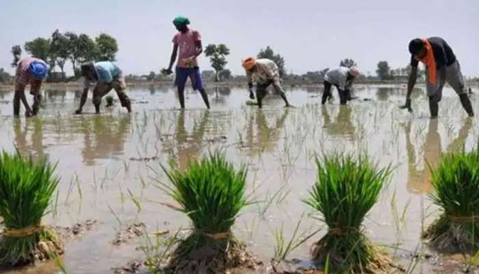 கரும்பு நிலுவை தொகைக்கு ரூ.182 கோடி ஒதுக்கீடு: அமைச்சர் எம்.ஆர்.கே பன்னீர் செல்வம்  title=