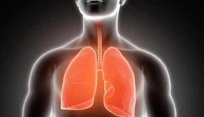 Foods vs Lungs: நுரையீரலுக்கு தீங்கு விளைவிக்கும் 5 உணவு வகைகள்
