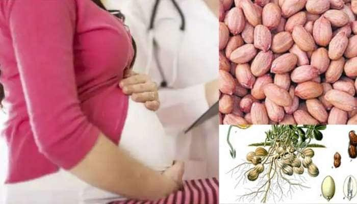 Pregnancy and Peanuts: நிலக்கடலைக்கும் இனப்பெருக்கத்திற்கும் உள்ள தொடர்பு தெரியுமா? 