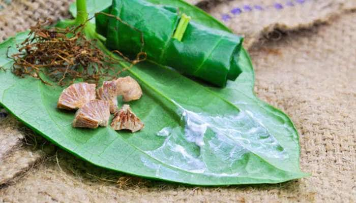 Side Effects of Betel Nut: பாக்கு மெல்வதால் ஏற்படும் தீமைகள்