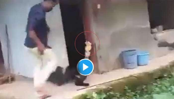 Viral Video: நடுங்க வைக்கும் வீடியோ; இதயம் பலவீனமானவர்கள் பார்க்காதீர்கள்! title=