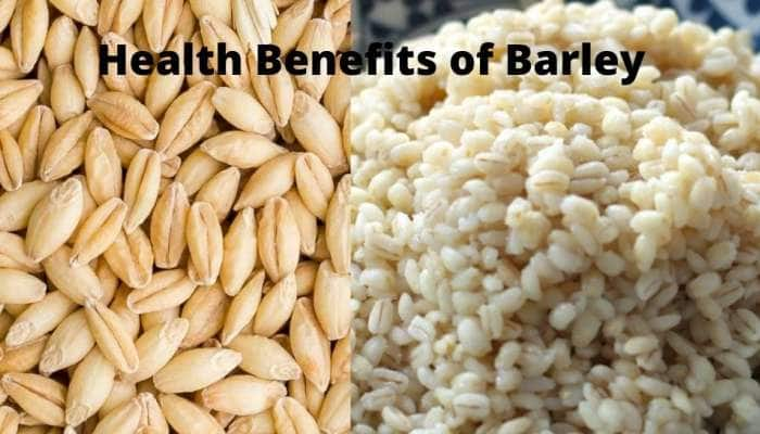 Barley: அடேங்கப்பா! பார்லி சூப்பில் இத்தனை மருத்துவ பயன்களா!!