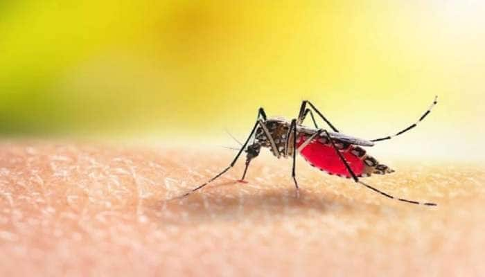 Mosquirix: உலகின் முதல் மலேரியா தடுப்பூசிக்கு WHO ஒப்புதல் 