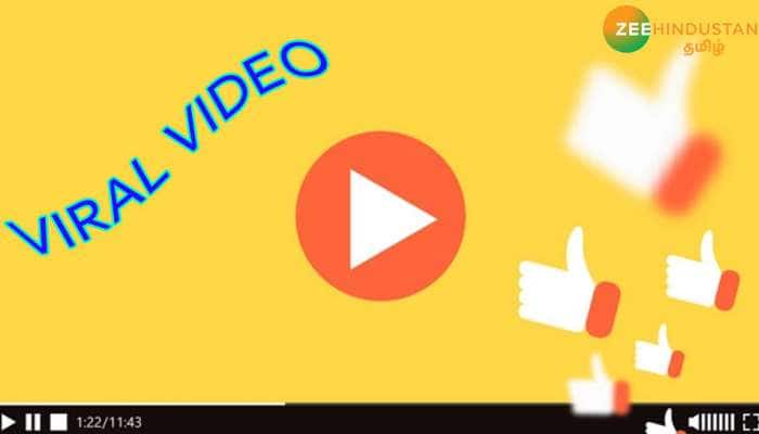 சோம்பேறி உயிரினம் ஸ்லாத், நாயை பாசத்தோடு கொஞ்சும் காட்சி:VIDEO