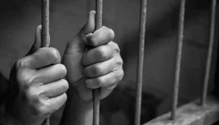 Five Star Prison: கைதியானால், ‘இந்த’ சிறைச்சாலைகளில் கைதியாக இருக்க வேண்டும்...!