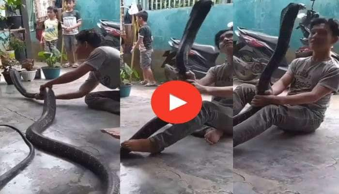 Cobra Viral Video: வீட்டிற்குள் புகுந்தது 15 அடி நீளமுள்ள ஆபத்தான நாகப்பாம்பு title=