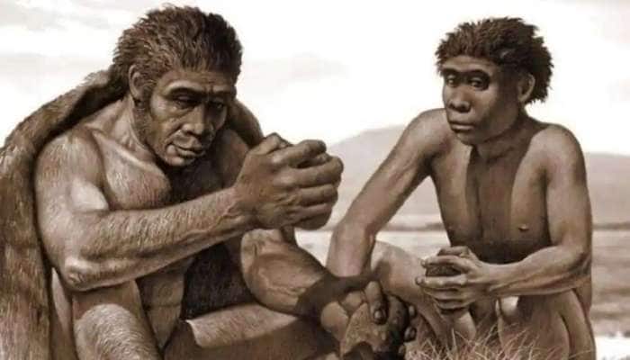 Homo bodoensis: மனித மூதாதையரின் புதிய இனங்கள் கண்டுபிடிப்பு! அசத்தும் விஞ்ஞானிகள்    title=