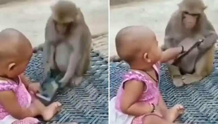 Viral Video: பிடுங்கி பிடுங்கி விளையாடுவோமா? குரங்கும் குழந்தையும், கியூட் வைரல் வீடியோ  title=