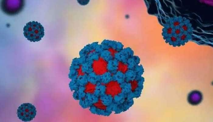 NoroVirus: கேரளாவில் வயநாட்டில் பரவும் நோரோ வைரஸ் பாதிப்பு