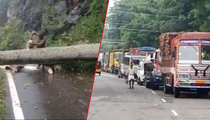 நிலச்சரிவு காரணமாக தமிழகம் கேரளா இடையே போக்குவரத்து துண்டிப்பு