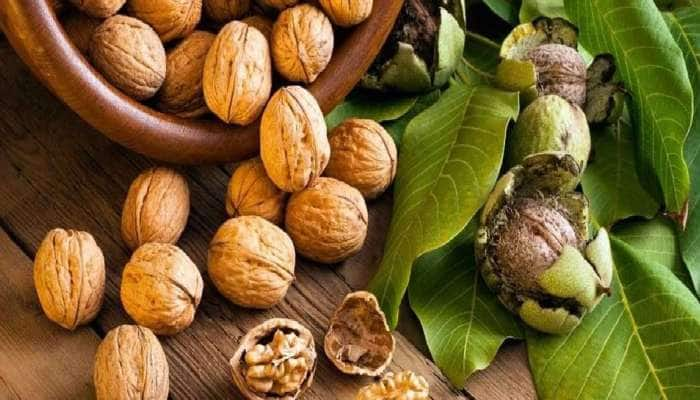 WALNUT: காலையில் வெறும் வயிற்றில் 2 வாதுமைக் கொட்டை செய்யும் மாயங்கள் title=