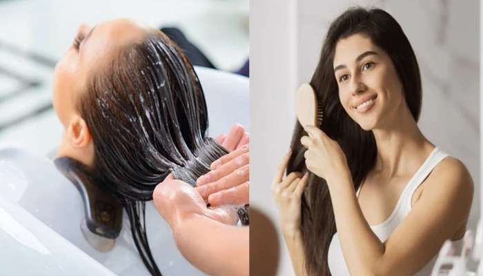 Amazing hair care tips home remedies for hair fall | Hair Care Tips: கூந்தல் உதிர்வதை தடுக்க வேண்டுமா? சூப்பரான டிப்ஸ் இதோ | Health News in Tamil Amazing hair care tips home remedies for hair fall | Hair Care Tips: கூந்தல் உதிர்வதை தடுக்க வேண்டுமா? சூப்பரான டிப்ஸ் இதோ | Health News in Tamil