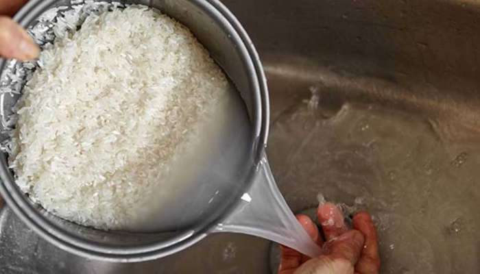 Rice Water: அரிசி கஞ்சியின் அற்புத பலன்கள்