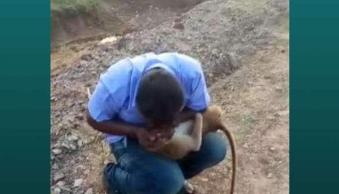 Monkey Rescue: அன்பே சிவம் என்பதை நிரூபித்து குரங்குக்கு உயிர் கொடுத்த தமிழன்