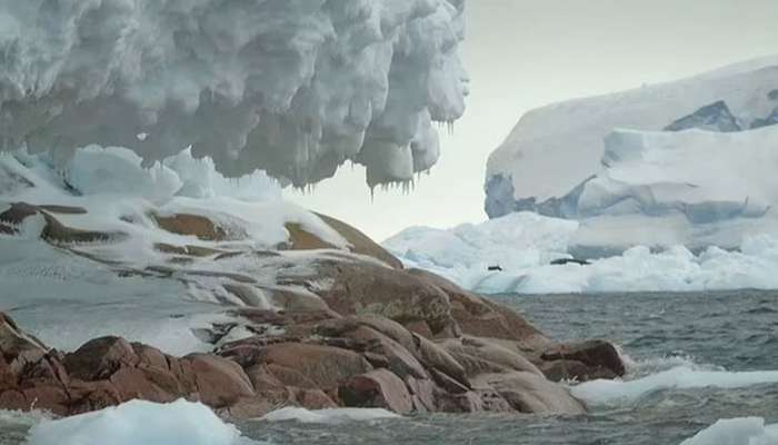 Antarctica: உலகிற்கே ஆச்சுறுத்தலாக  உருவெடுக்கும் பனிப்பாறை விரிசல்கள்