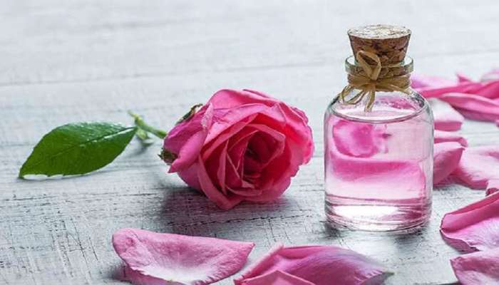 Rose Water: பலவித சரும பிரச்சனைகளுக்கு அருமருந்தாகும் பன்னீர்..!! title=