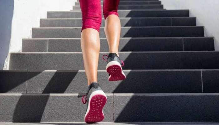 Climbing Stairs: மாரடைப்பை தடுக்க நாள் தோறும் படியேறுங்கள்..!!!