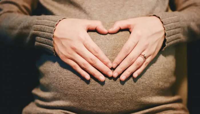 Pregnancy Tips: குழந்தை பெற்றுக் கொள்ள திட்டமிடுபவரா? மறக்காமல் சேர்த்துக் கொள்ள வேண்டிய உணவுகள்