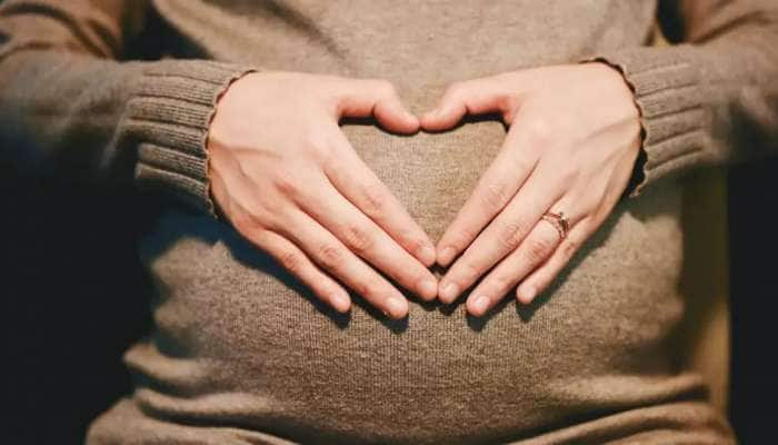 Pregnancy Tips: குழந்தை பெற்றுக் கொள்ள திட்டமிடுபவரா? மறக்காமல் சேர்த்துக் கொள்ள வேண்டிய உணவுகள் title=