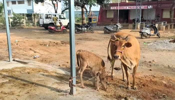 Police station: சீக்கிரம் பஞ்சாயத்தை முடிங்கப்பா! எங்களுக்கு வேற வேலை இருக்கு! 