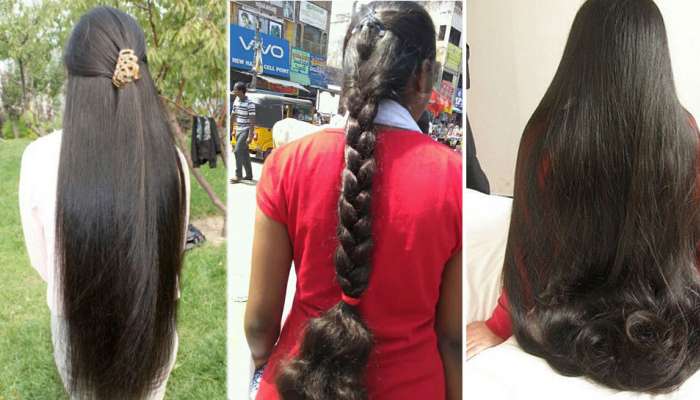 Tips for Long Thick Hair Follow to this tips grow your hair | நீண்ட  அடர்த்தியான கூந்தலுக்கான டிப்ஸ்: இதைப்பின்பற்றுங்கள் அழகு அதிகரிக்கும்! |  Health News in Tamil