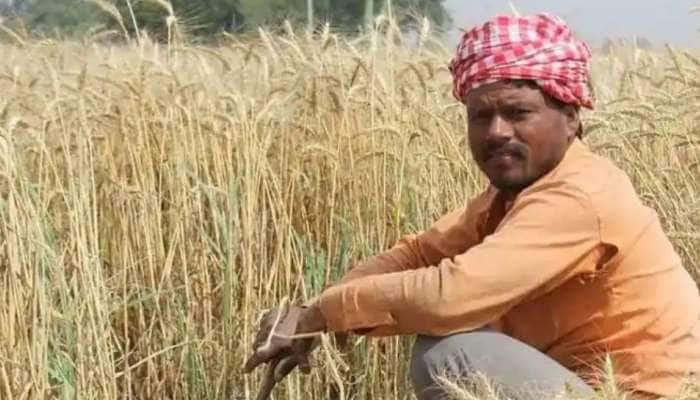 PM Kisan Yojana: உங்களுக்கு ரூ.2000 இன்னும் வரவில்லையா? அப்ப இத பண்ணுங்க