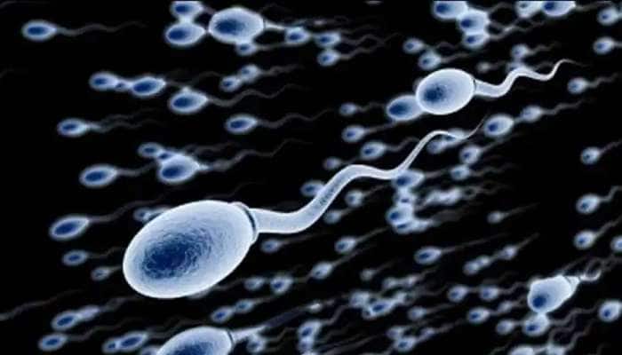 Sperm booster: விந்தணுக்களின் எண்ணிக்கையை அதிகரிக்க வேண்டுமா? இதோ சிம்பிள் வழி