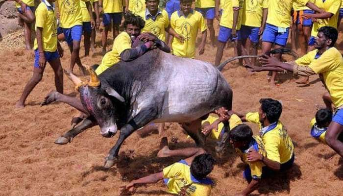 அவனியாபுரம் ஜல்லிக்கட்டை மாவட்ட நிர்வாகமே நடத்த முடிவு!