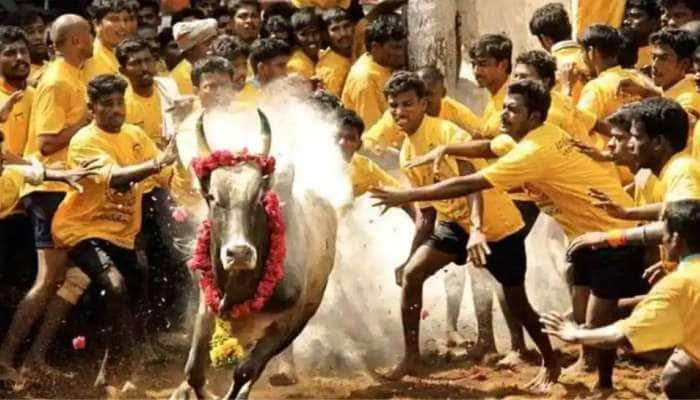 Pongal Festival: எருதாட்டத்திற்கு தடை விதிப்பு..! title=