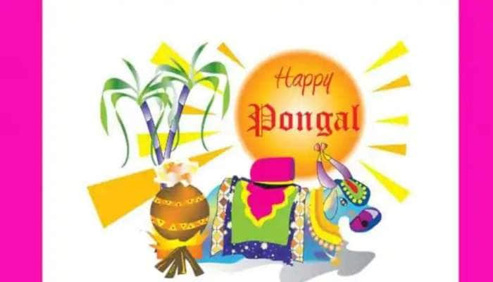 Pongal 2022: திகட்டாமல் தித்திக்கும் தைப்பொங்கல் கற்றுத்தரும் வாழ்க்கைப் பாடங்கள் title=