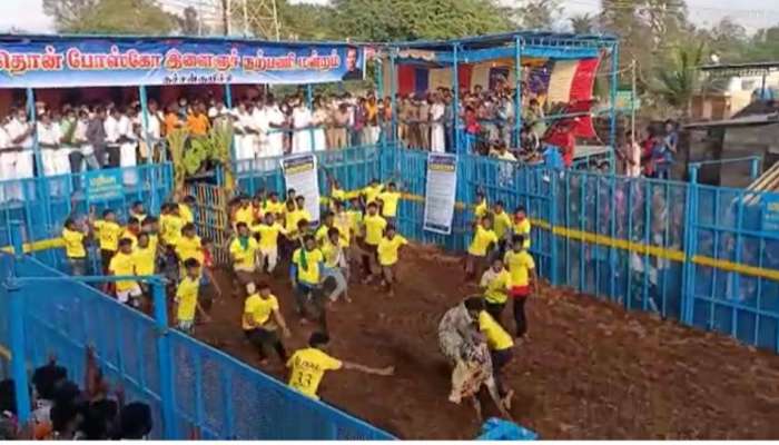 Jallikattu: புத்தாண்டின் முதல் ஜல்லிக்கட்டு போட்டிகள் புதுக்கோட்டையில் தொடங்கின... title=