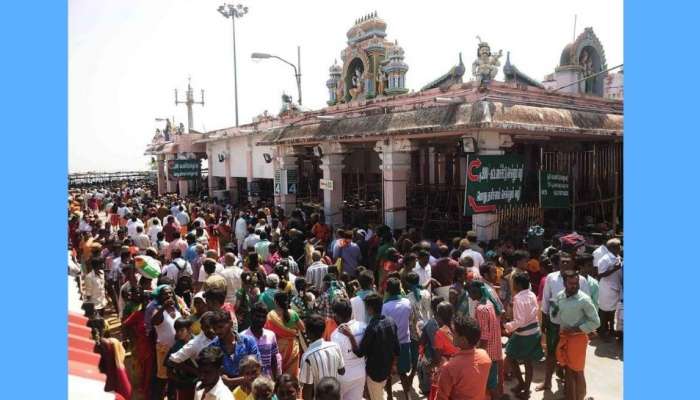 பழனியில் தைப்பூச திருவிழாவிற்கு குவிந்த பக்தர்கள்